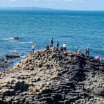 Belfast : Giants Causeway 5 hour express private tour - The Itinerary in Detail