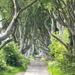 Belfast: Giants Causeway Tour - What’s Included and What’s Not