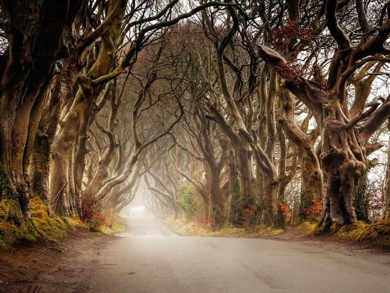 Belfast: Giant's Causeway Tour and 2-Day Open Top-Bus Tour - Is it Worth the Cost?