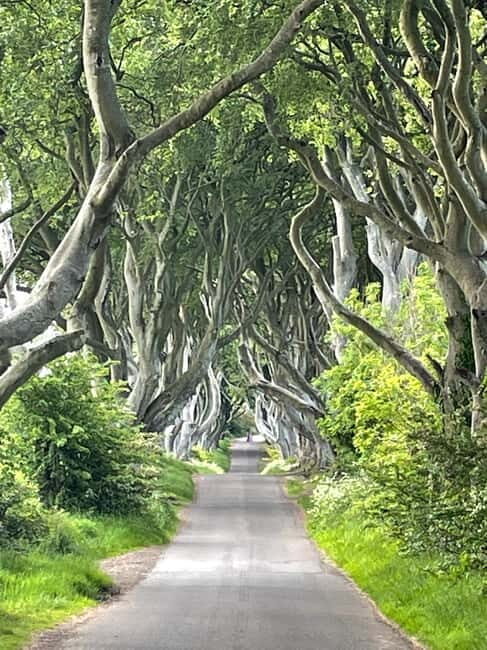 Belfast: Giants Causeway Tour - What’s Included and What’s Not