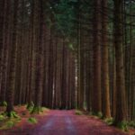 Belfast: Mourne Mountains & Silent Valley Private Tour - Who Will Love This Tour?