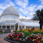 Belfast Private Walking Tour - In-Depth Look at the Landmarks and Stories