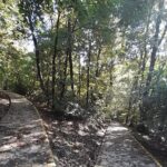 Belgrade Hiking Tour On Mountain Avala - What Travelers Say: Real Feedback