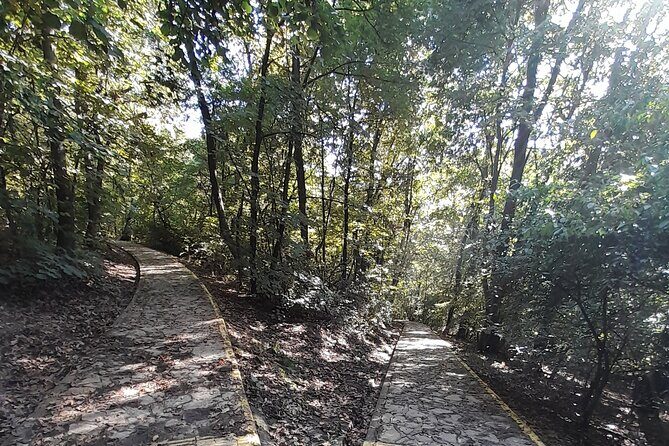 Belgrade Hiking Tour On Mountain Avala - What Travelers Say: Real Feedback