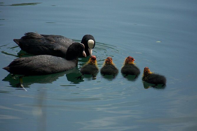 Bellagio, the pearl of lake Como. The village and the surrounding area - What’s the real value here?