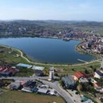 Belsh: Olive Oil Tour with Tastings and Snacks - Final Thoughts: Who Is This Tour Best For?