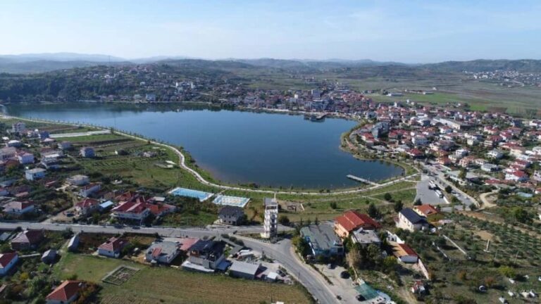 Belsh: Olive Oil Tour with Tastings and Snacks - Final Thoughts: Who Is This Tour Best For?