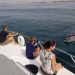 Benagil Cave Cruise - Why You Might Love This Experience