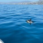 Benalmadena: Boat Rental in Malaga for hours - What to Expect on Your Boat Trip