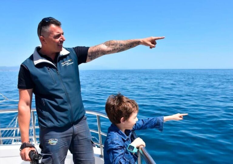 Benalmadena: Dolphin Watching Boat Tour - Final Thoughts: Is It Worth It?