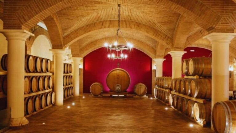 Benevento: Winery Tour with Wine Tasting and Snacks - Practical Details and Tips