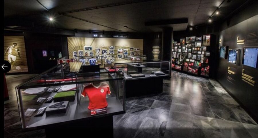 Benfica Stadium and Museum Tour - What to Expect During the Tour