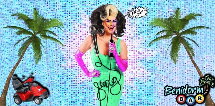 BENIDORM KARAOKE with Licky Vicky - The Practical Details: Cost, Duration, and Booking