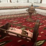 Berat Unveiled: A Stroll Through Time and Natural Beauty - Practical Details and Tips