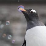 Bergen: Bergen Aquarium Entry Ticket - What to Expect on Your Visit