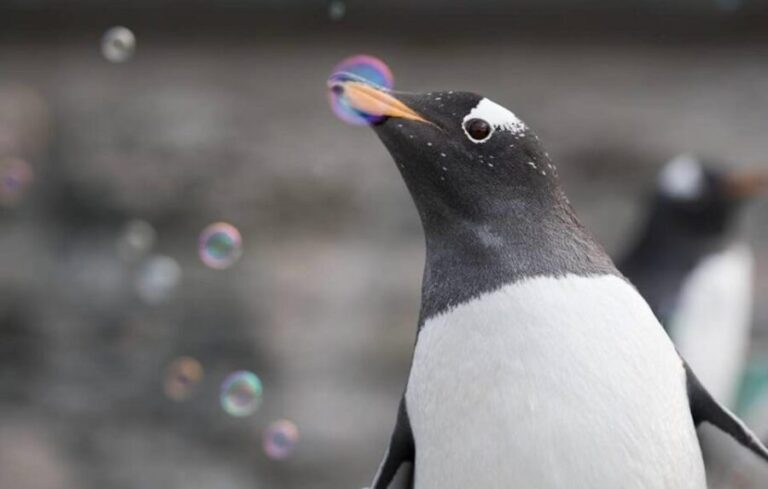 Bergen: Bergen Aquarium Entry Ticket - What to Expect on Your Visit