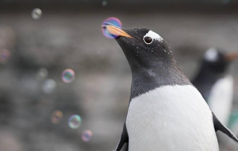 Bergen: Bergen Aquarium Entry Ticket - What to Expect on Your Visit