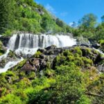 Bergen: Cruise to beautiful Rosendal by the Hardangerfjord - Who Will Enjoy This Tour?