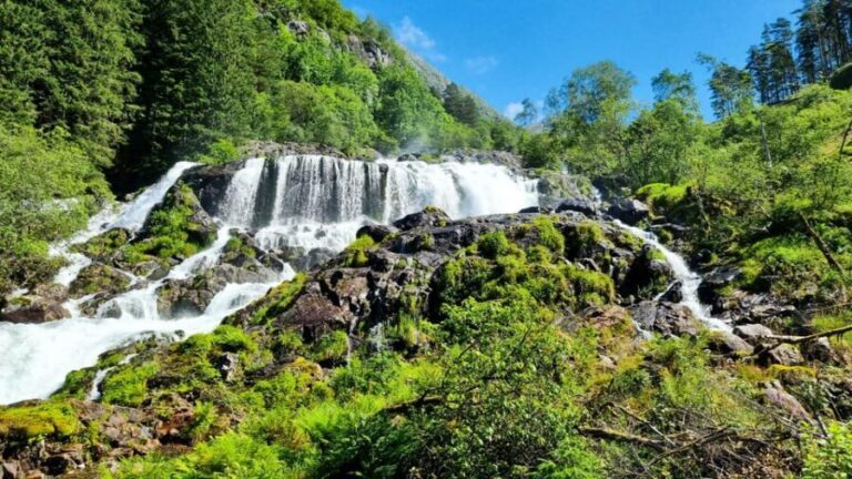 Bergen: Cruise to beautiful Rosendal by the Hardangerfjord - Who Will Enjoy This Tour?