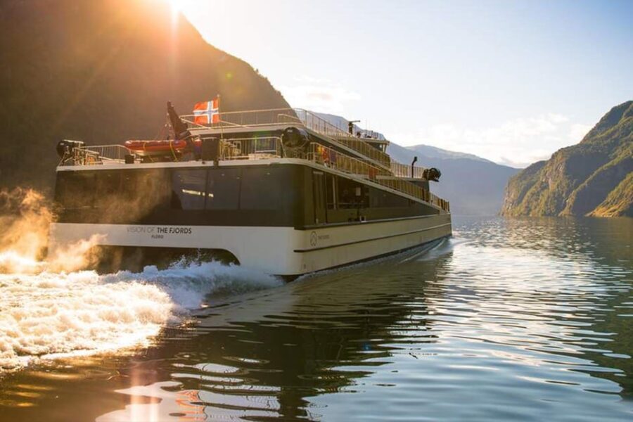 Bergen: Nærøyfjord Cruise & Flåm Railway Day Trip to Oslo - Who Is This Tour Best For?