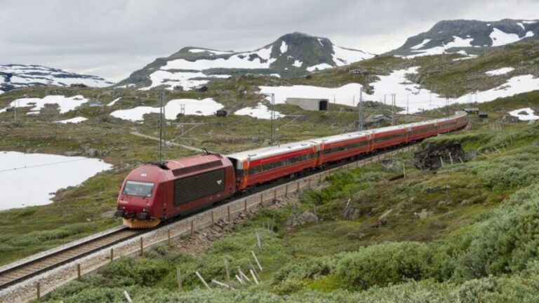 Bergen to Oslo: Private Nærøyfjord Cruise and Flåm Railway - Conclusions