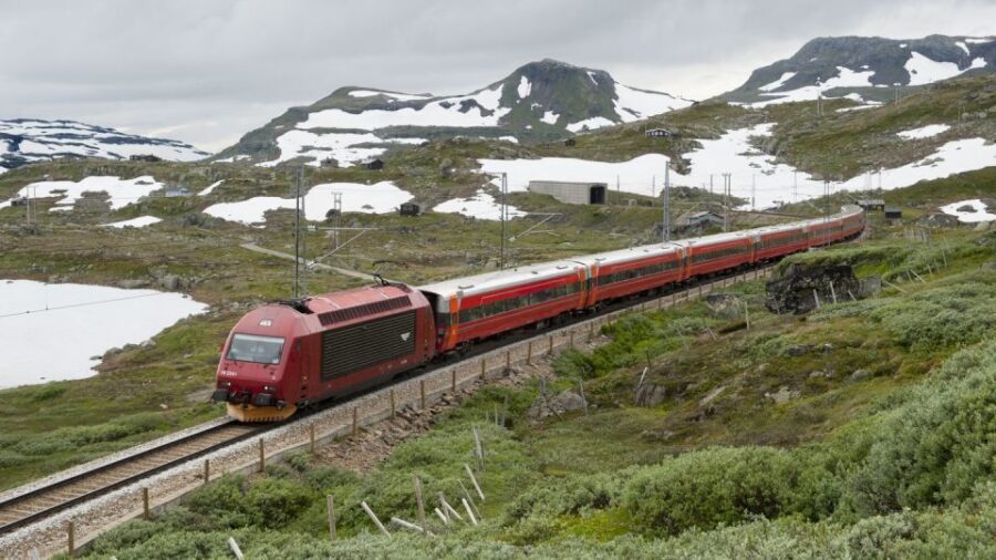 Bergen to Oslo: Private Nærøyfjord Cruise and Flåm Railway - Conclusions