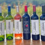 Bergerac: Wine Tasting at Chateau Lestevenie - The Overall Experience: Pros and Cons