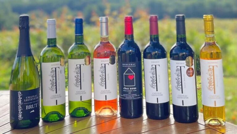 Bergerac: Wine Tasting at Chateau Lestevenie - The Overall Experience: Pros and Cons