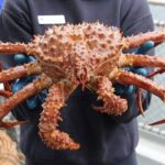 Bering Sea Crab Fisherman's Tour from Ketchikan - The Value of the Tour