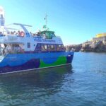 Berlengas Island Catamaran Tour + Snorkeling - Authentic Perspectives: What Travelers Say