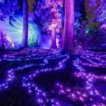 Berlin: Christmas Garden Berlin Entrance Ticket - Key Points