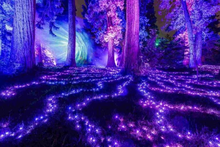 Berlin: Christmas Garden Berlin Entrance Ticket - Key Points