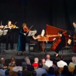 Berlin: Classical concerts at Schönhausen Palace - Who Is This Tour Best Suited For?