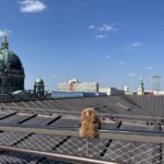 Berlin: Cold War Private Walking Tour - Who’s This Tour Best For?