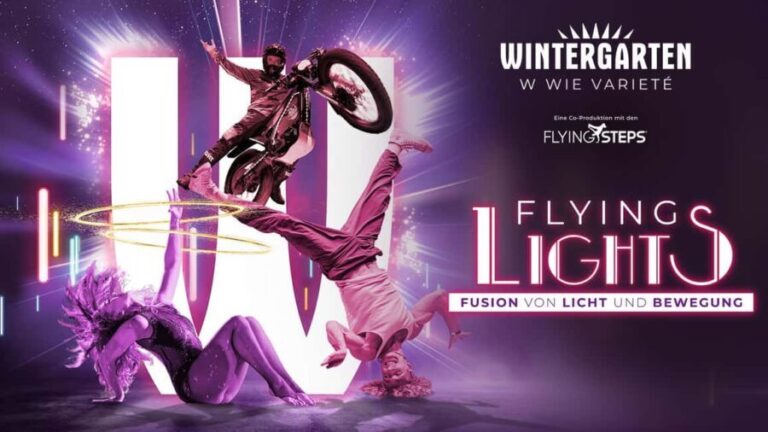 Berlin: "Flying Lights" - incl. Flying Steps  Variety Show - Venue and Atmosphere