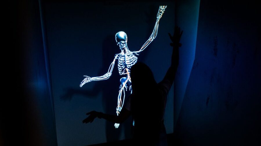 Berlin: Interactive DeJa Vu Museum Entrance Ticket - The Art of Optical Illusions