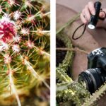 Berlin: Macro photography course - Nature in detail - Who should consider this course?