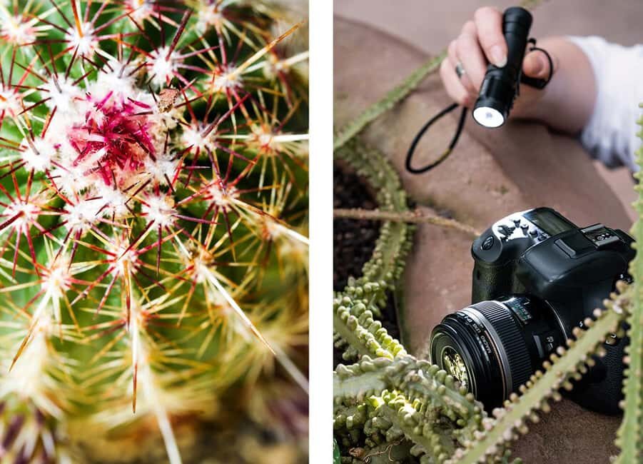 Berlin: Macro photography course - Nature in detail - Who should consider this course?