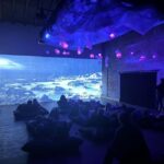 Berlin: ORIGINS-Life's Epic Journey Exhibition Entry Ticket - The Real Visitor Perspectives