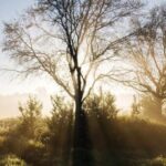 Berlin: Photo course Landschafts- & Naturfotografie - The Practicalities: Duration, Cost, and What You Need to Bring