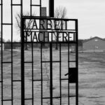Berlin Private 6-Hour Tour to Sachsenhausen Concentration Camp Memorial - The Journey Back to Berlin