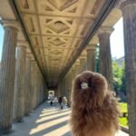 Berlin: Sachsenhausen Memorial Half-Day - FAQs