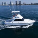 Bertram 38' Convertible Boat in Puerto & Nuevo Vallarta - Exploring the Experience: What to Expect and Why It Matters