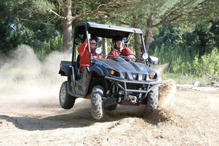 Besançon: Buggy Adventure Through Forests and Hills - What You Can Expect Step-by-Step