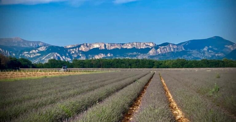 Bespoke Luxury Sightseeing Experiences - Detailed Breakdown of the Themed Tours