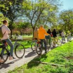 Best Bike Tour Dutch & English in Valencia - The Experience & Group Dynamics