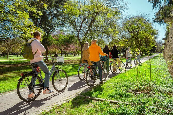 Best Bike Tour Dutch & English in Valencia - The Experience & Group Dynamics