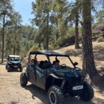 BEST FAMILY & FRIENDS FUN BUGGY TOUR - Who Should Consider This Tour?