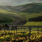 Best of Athens: Private Guided Half-Day Tour & Shore Excursion - Who Would Love This Tour?