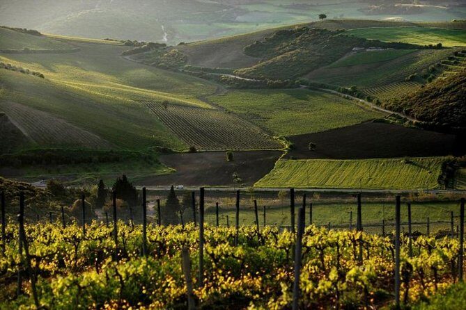 Best of Athens: Private Guided Half-Day Tour & Shore Excursion - Who Would Love This Tour?